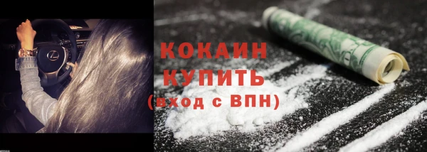 молекула духа Богородск