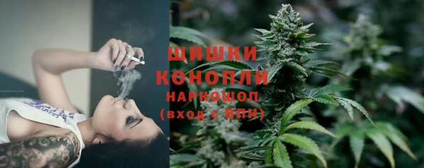 прущие крисы Богданович