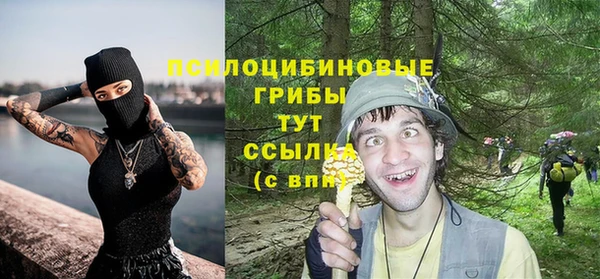 прущие крисы Богданович