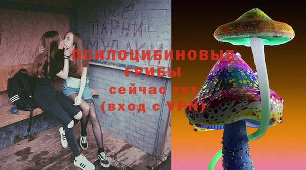 прущие крисы Богданович